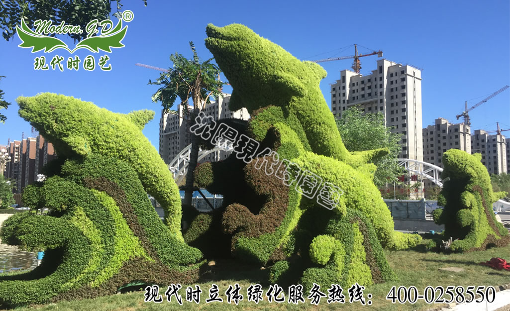 �P�\��ɫ������